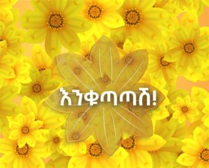 Read more about the article Simbona Africa Healthcare Wishes  You Happy Ethiopian New Year 2017